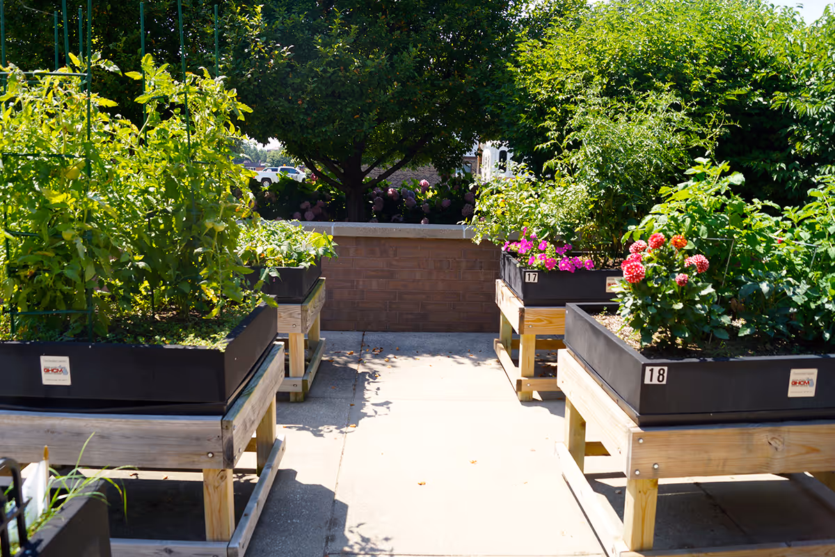 Raised garden beds with various green plants and flowers, situated outdoors on a paved area with trees and bushes in the background.