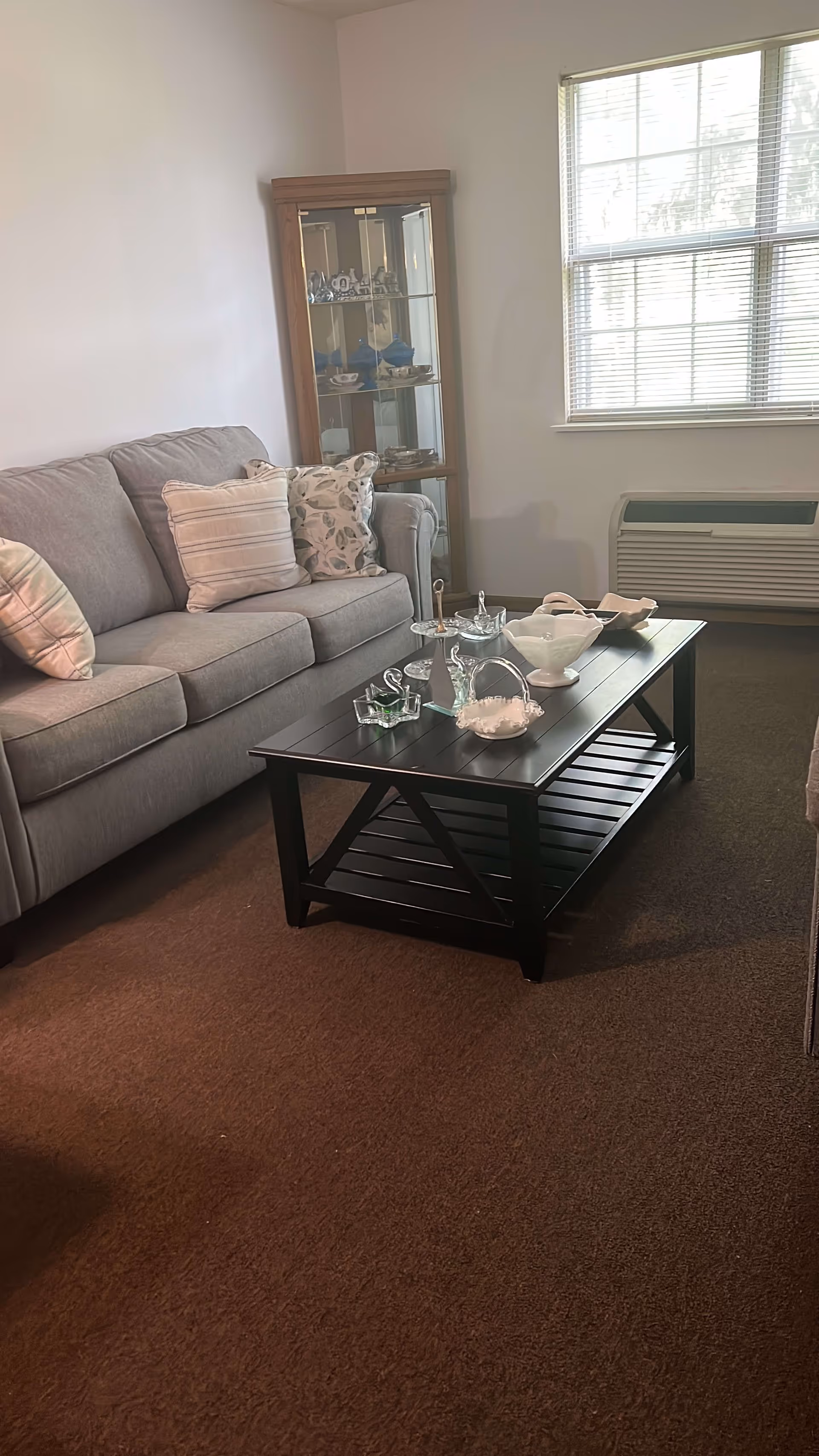 A living room with a gray couch adorned with patterned pillows, a black wooden coffee table with decorative glass items, a glass display cabinet in the corner, and a window with blinds letting in natural light.