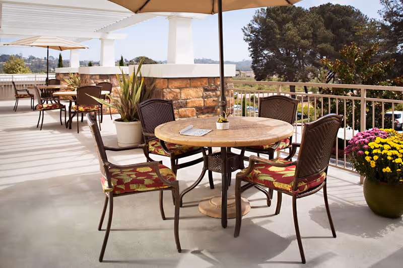 Outdoor patio area with round tables and chairs featuring floral cushions, large umbrellas providing shade, potted plants, and a view of trees and distant hills under a clear sky.