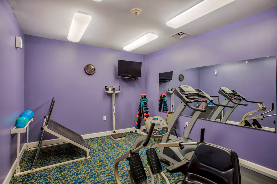 Small exercise room with purple walls and patterned carpet, containing a treadmill, stationary bike, weight rack with colorful dumbbells, a scale, a wall-mounted TV, and a large mirror on one wall.