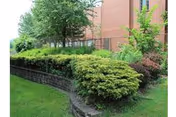 Landscaped exterior showing trimmed bushes along a low stone retaining wall, grass, trees, and part of a brick building with windows.