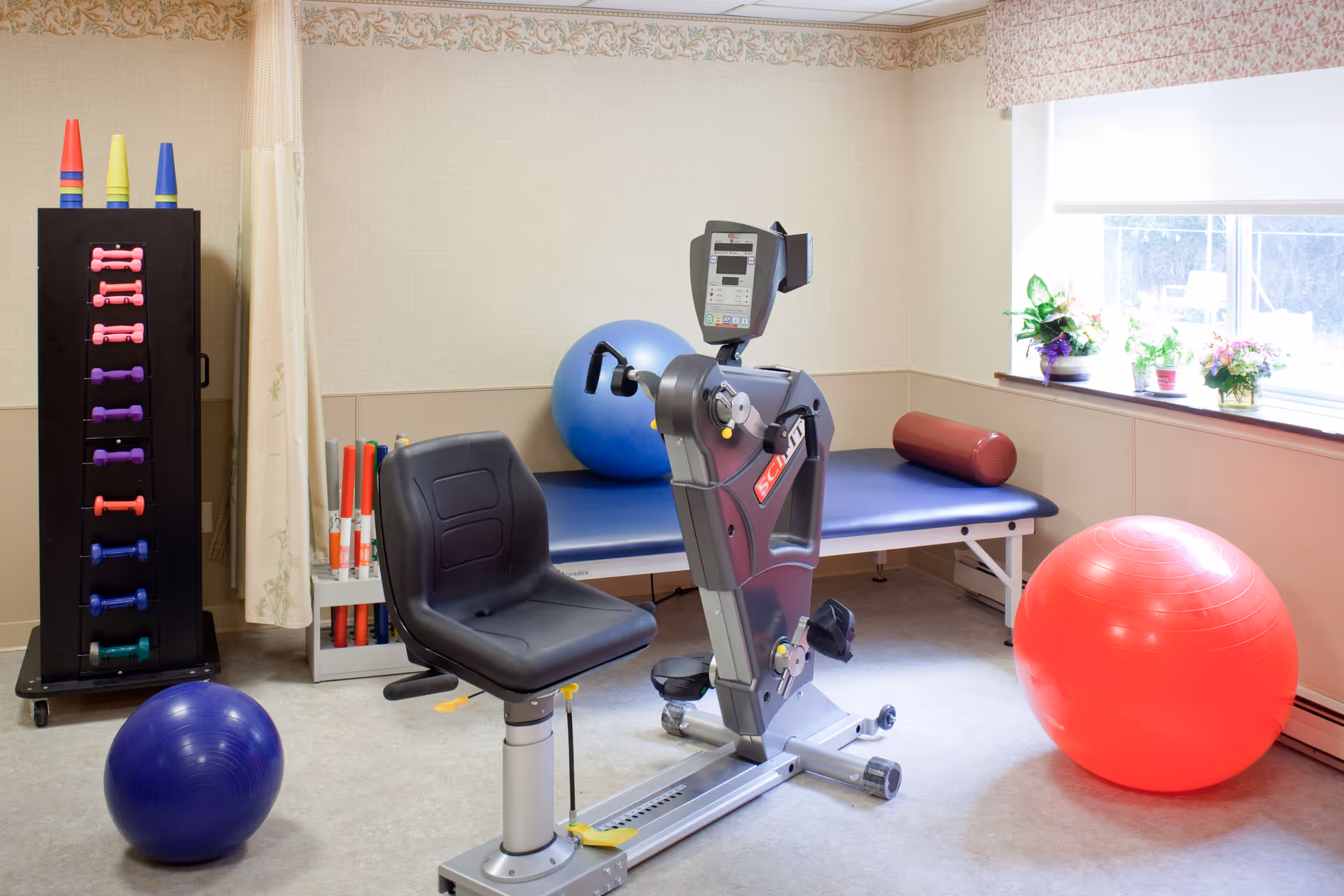 A small exercise room with a recumbent exercise bike, a blue therapy table with a red cylindrical bolster, a blue exercise ball, a large red exercise ball, a rack of colorful dumbbells, and a window with potted plants on the windowsill.