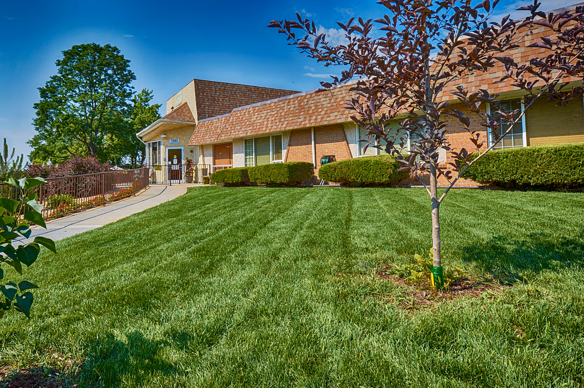Exterior view of Clear Creek Care Center showing a well-maintained lawn with a young tree in the foreground, bushes along the building, and a paved walkway leading to the entrance under a clear blue sky.