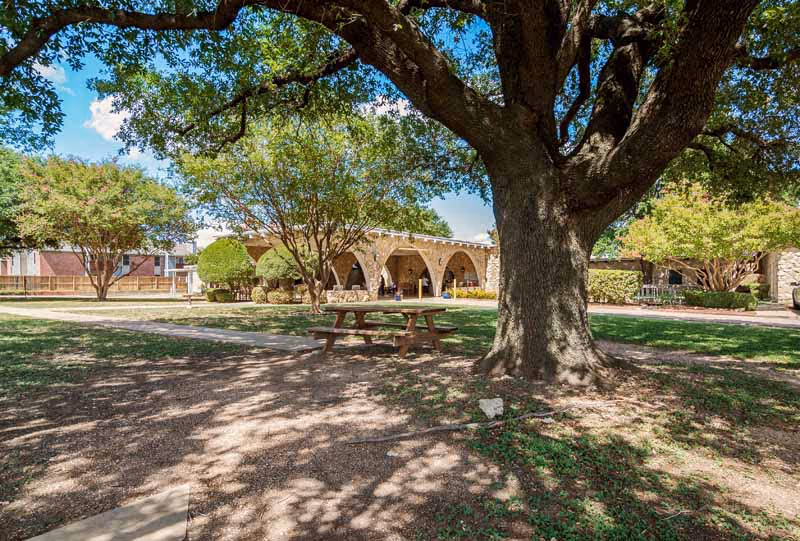 Shaded courtyard with a large tree and picnic table in front of a stone building with arched walkways.