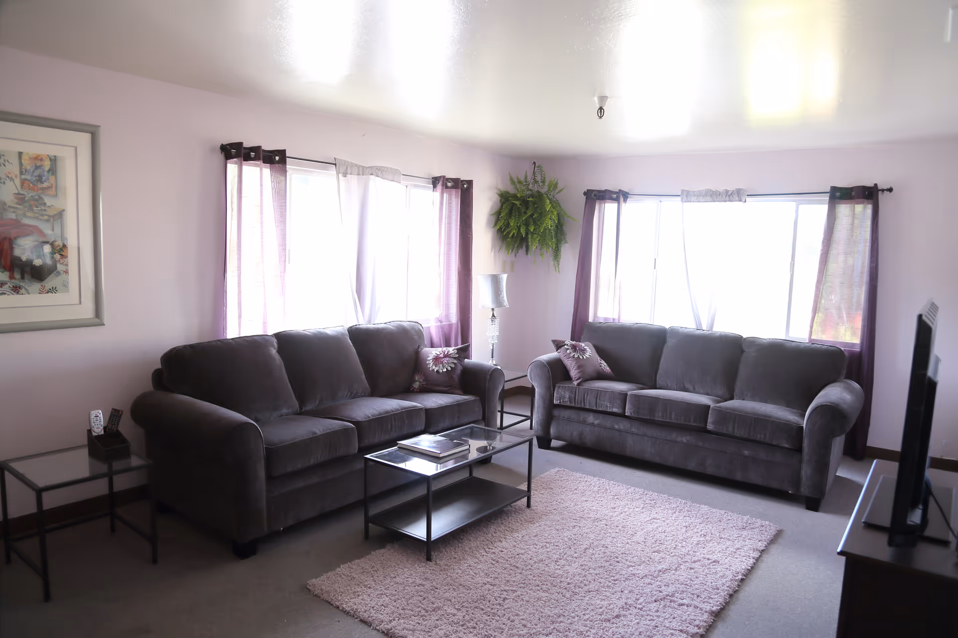 Bright living room with two gray sofas facing a glass coffee table, a TV, windows with purple curtains and a pink rug.