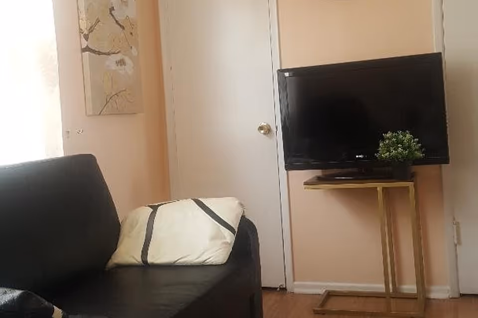 A small living area with a black leather couch with a white pillow, a flat-screen TV on a gold-colored stand, a small green potted plant next to the TV, a closed white door, and a wall painting with floral design.