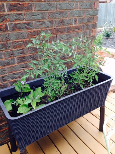 A rectangular raised planter with green plants sits on a wooden deck next to a brick wall.