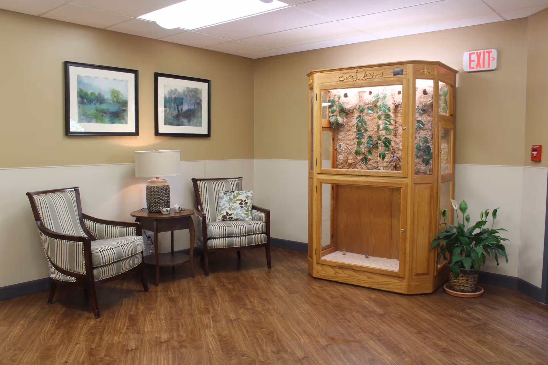 A cozy corner in a nursing home featuring two striped armchairs with a small round wooden table and a lamp between them. Above the chairs are two framed landscape paintings. To the right, there is a large wooden terrarium with plants inside and a potted plant on the floor next to it. The walls are painted beige with a white lower half, and there is an exit sign above the terrarium.