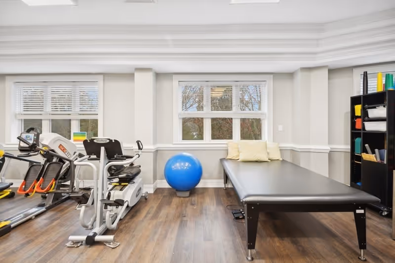 A bright exercise room with large windows, featuring a recumbent exercise bike, a blue exercise ball, a black padded therapy table with two cream pillows, and a black shelving unit holding various exercise equipment and colorful cones.