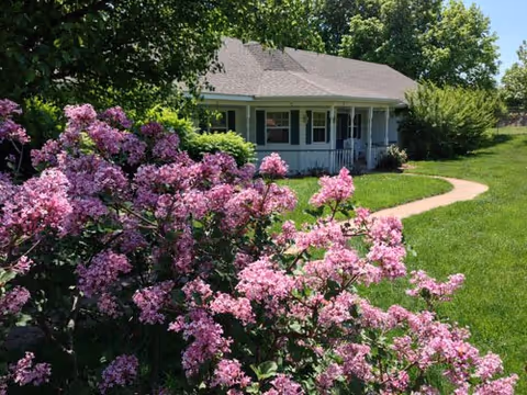 A single-story house with a gray roof and white exterior surrounded by green grass and trees. In the foreground, there are vibrant pink flowering bushes. A curved sidewalk leads to the front porch of the house.
