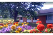 Colorful flowers in foreground with Sena Kean Nursing and Rehabilitation Center building in background