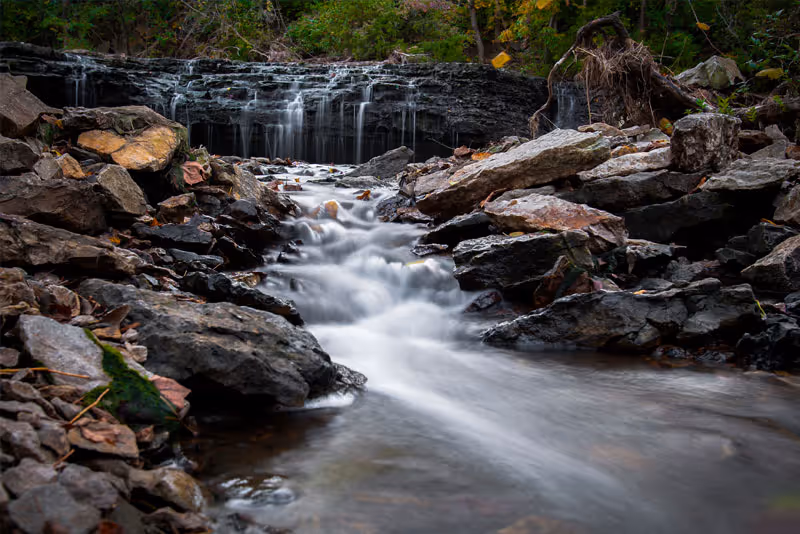 A small cascading waterfall flowing over layered rocks surrounded by greenery and scattered fallen leaves.