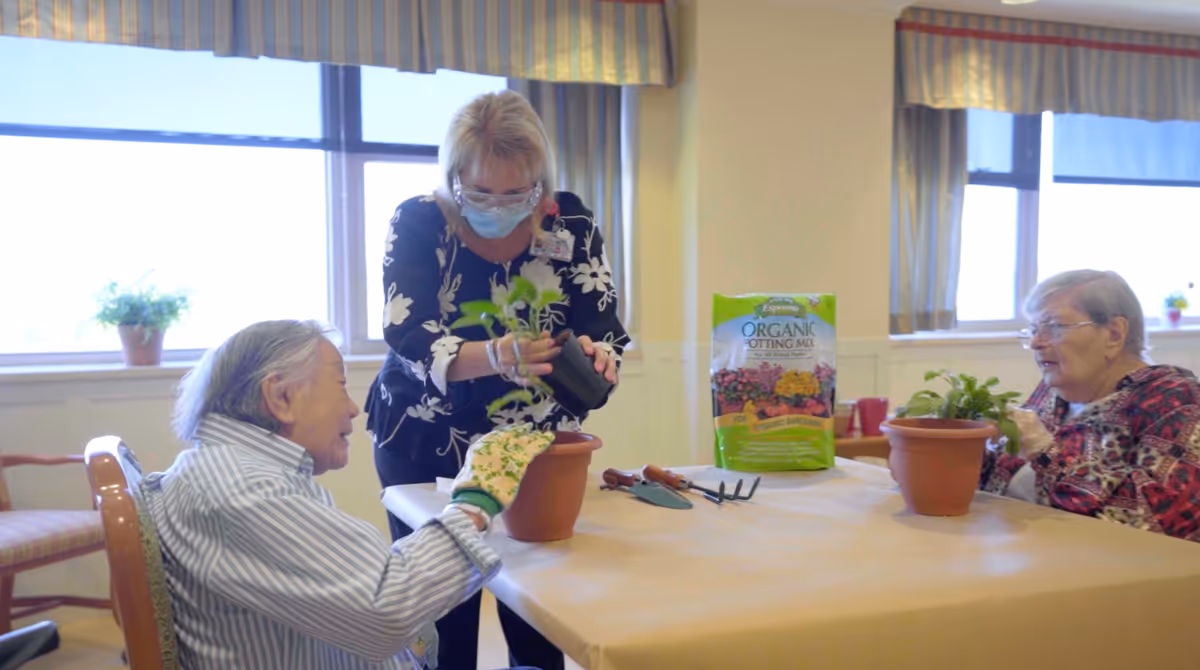 Two elderly women and a caregiver wearing a mask and gloves are sitting around a table indoors, engaging in a gardening activity with potted plants and organic potting mix on the table.