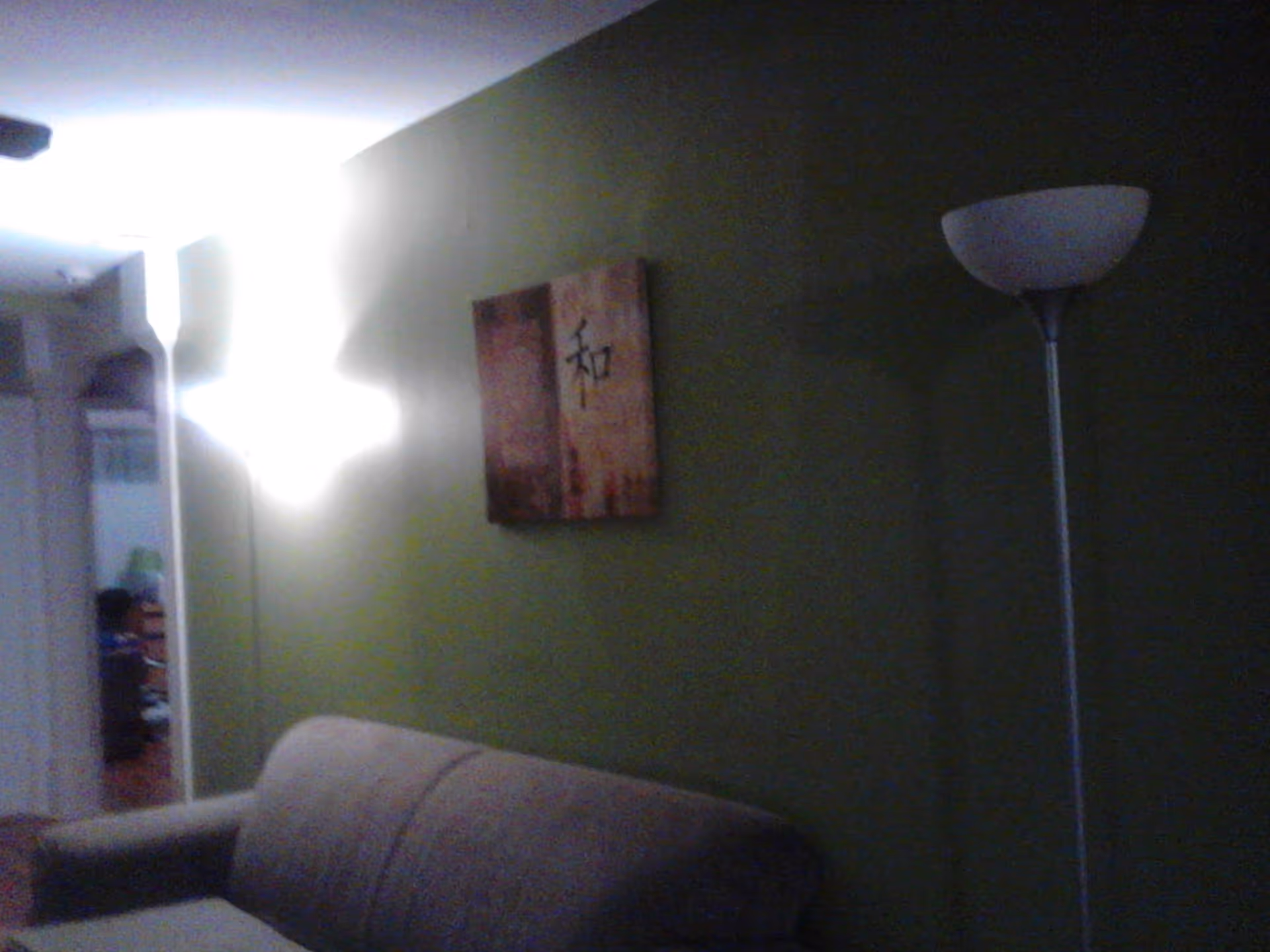 A dimly lit living room with a green wall, a beige couch, a tall floor lamp, and a piece of wall art featuring Asian characters. There is a doorway leading to another room in the background.