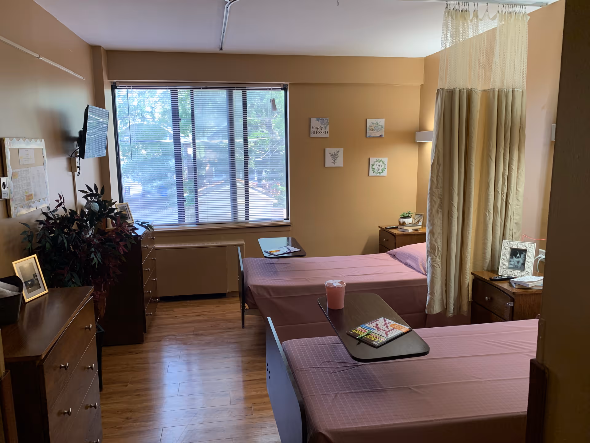 A senior living facility bedroom with two single beds covered in pink sheets. Each bed has a small overbed table, one with a pink drink and a magazine, the other with a magazine. There is a beige privacy curtain partially drawn between the beds. The room has wooden flooring, a large window with blinds, a wall-mounted TV, dressers, framed pictures, and decorative plants.