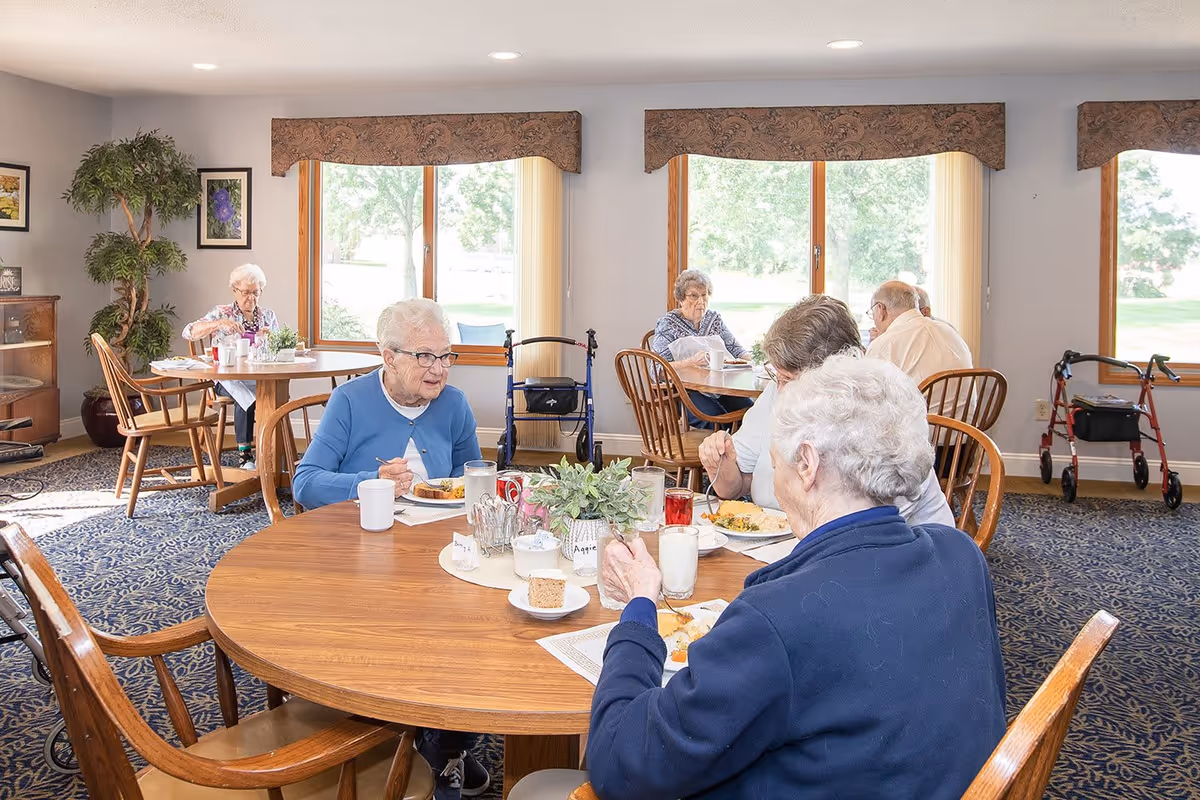 Several elderly residents sit at round wooden tables eating in a bright communal dining room with large windows and walkers visible.