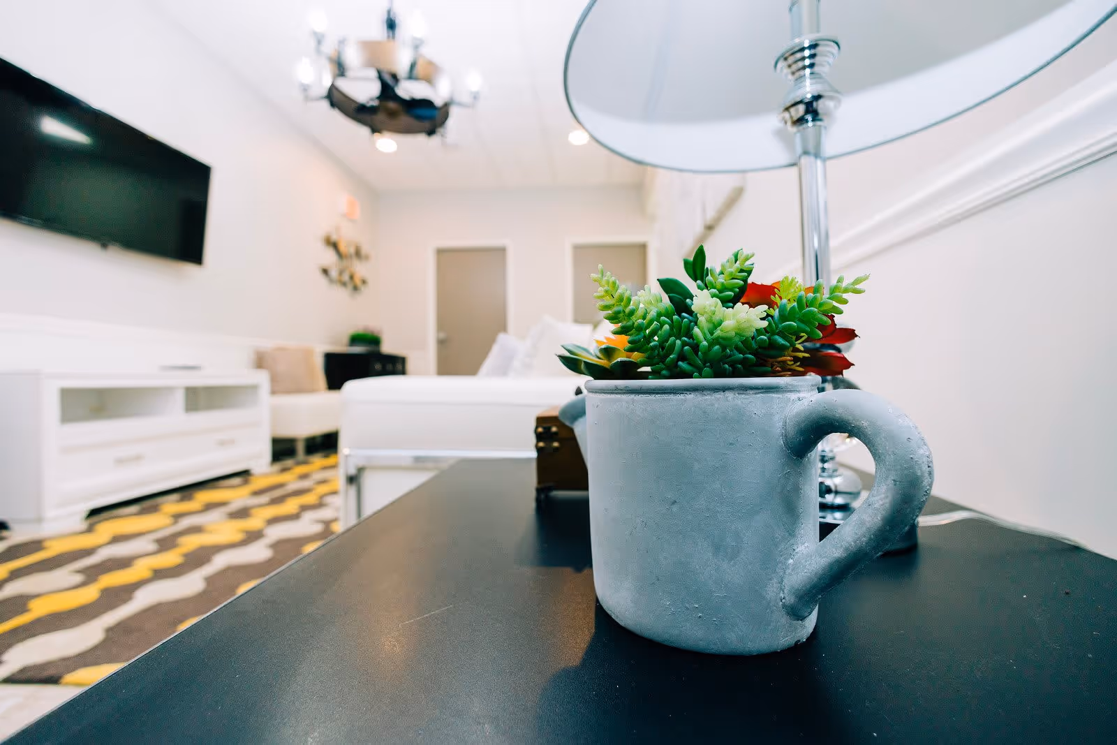 Close-up of a small gray pot with green and red succulent plants on a black table in a bright living room. In the background, there is a white couch, a white TV stand with a flat-screen TV mounted on the wall, a patterned rug with yellow, brown, and white zigzag stripes, and two closed doors.