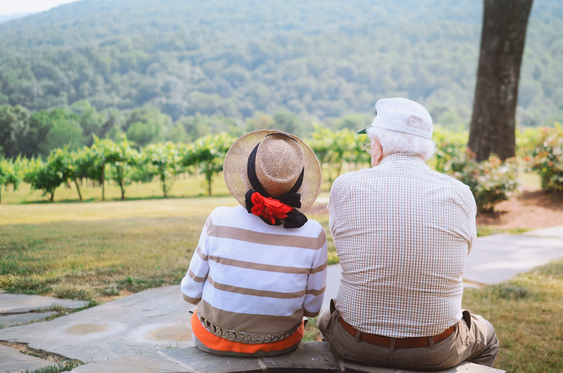 An elderly couple sitting outdoors on a stone bench, facing away from the camera, overlooking a vineyard and forested hills in the distance. The woman is wearing a striped shirt and a wide-brimmed hat with a red flower, while the man is wearing a checkered shirt and a white cap.