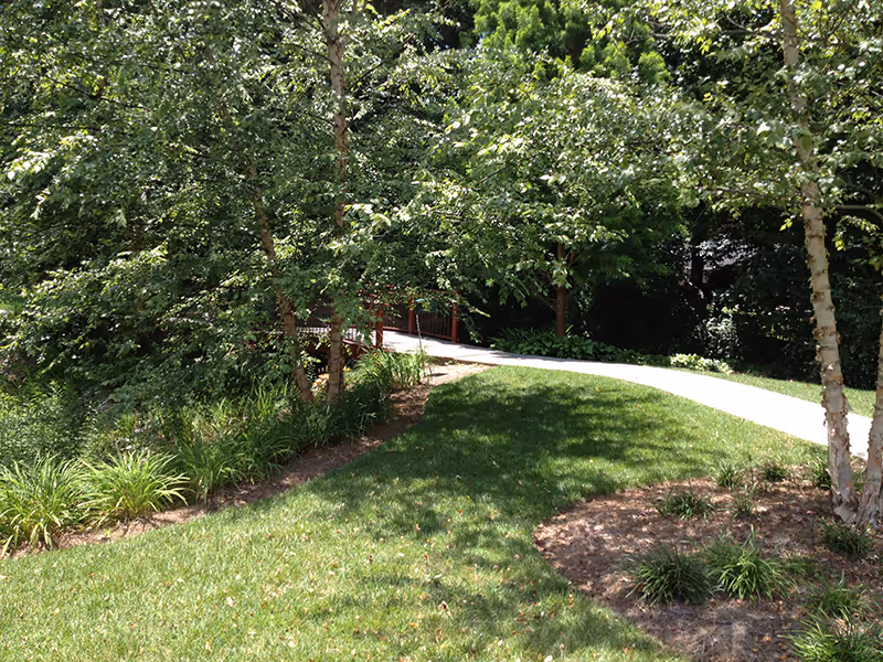 A sunny outdoor garden area with a curved concrete pathway surrounded by green grass, trees, and various plants.