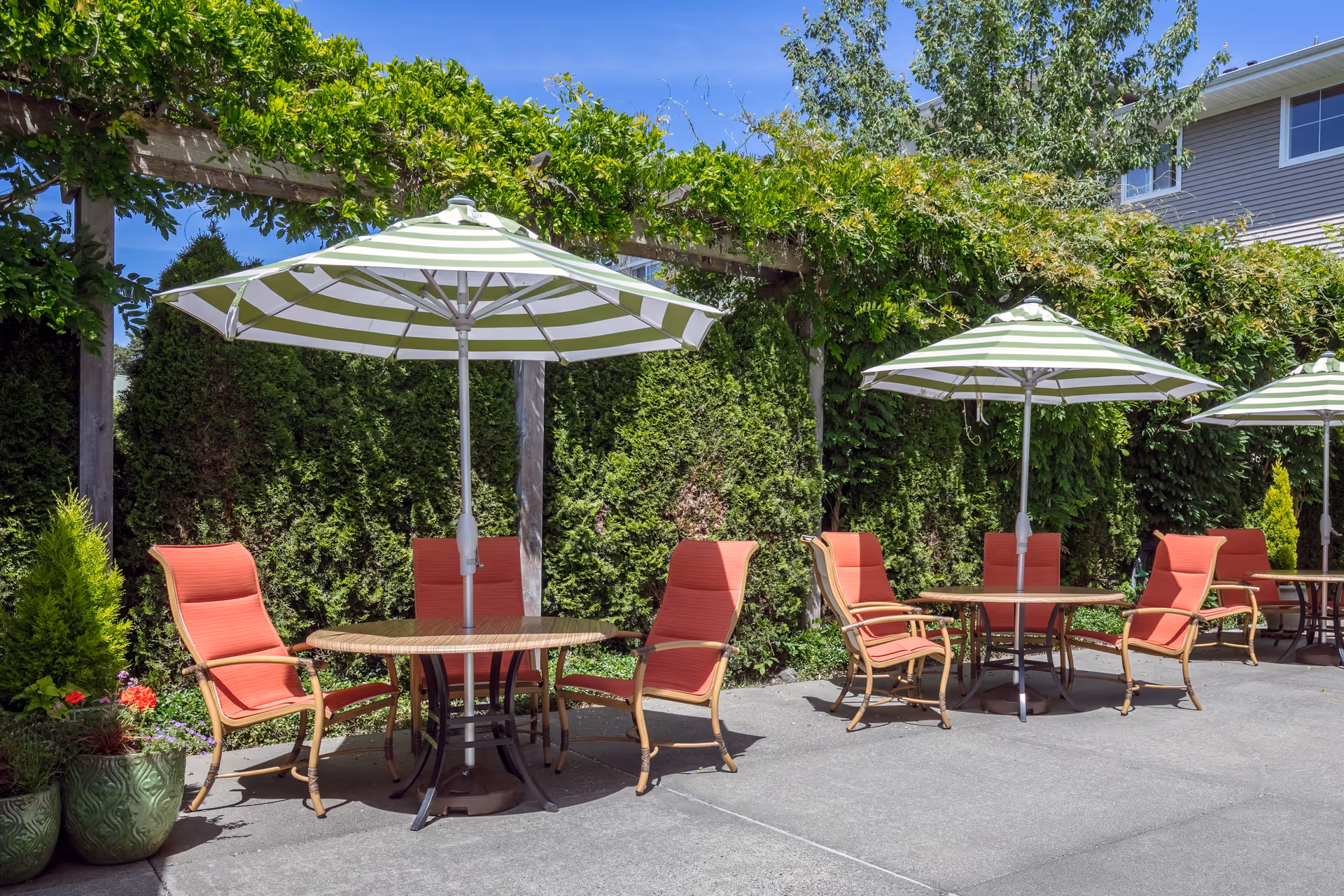 Outdoor patio area with round tables shaded by green and white striped umbrellas. Each table is surrounded by red cushioned chairs. The patio is bordered by tall green hedges and a wooden pergola with climbing plants. A building is partially visible in the background under a clear blue sky.