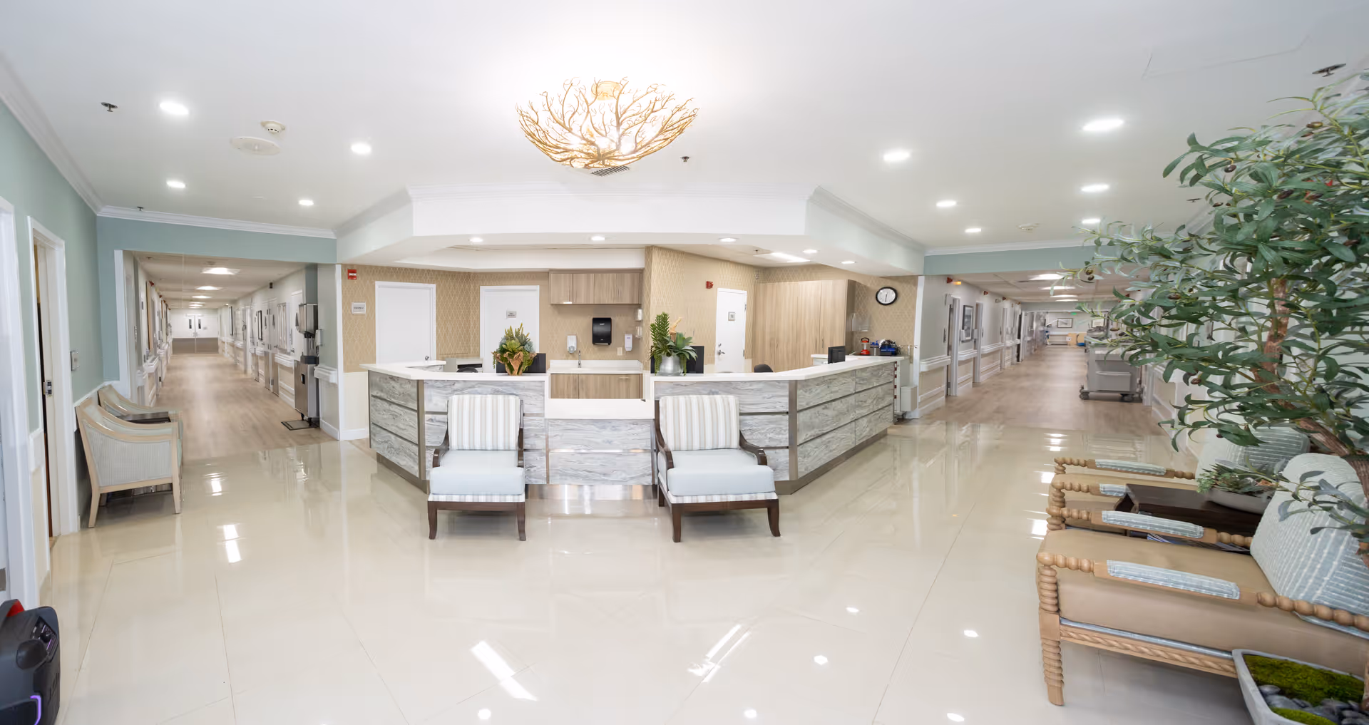 A bright and clean reception area in a senior living facility with a central desk, two striped armchairs in front, and a hallway extending on both sides. The floor is shiny and tiled, with additional seating and plants on the right side. The ceiling has recessed lighting and a decorative light fixture above the desk.