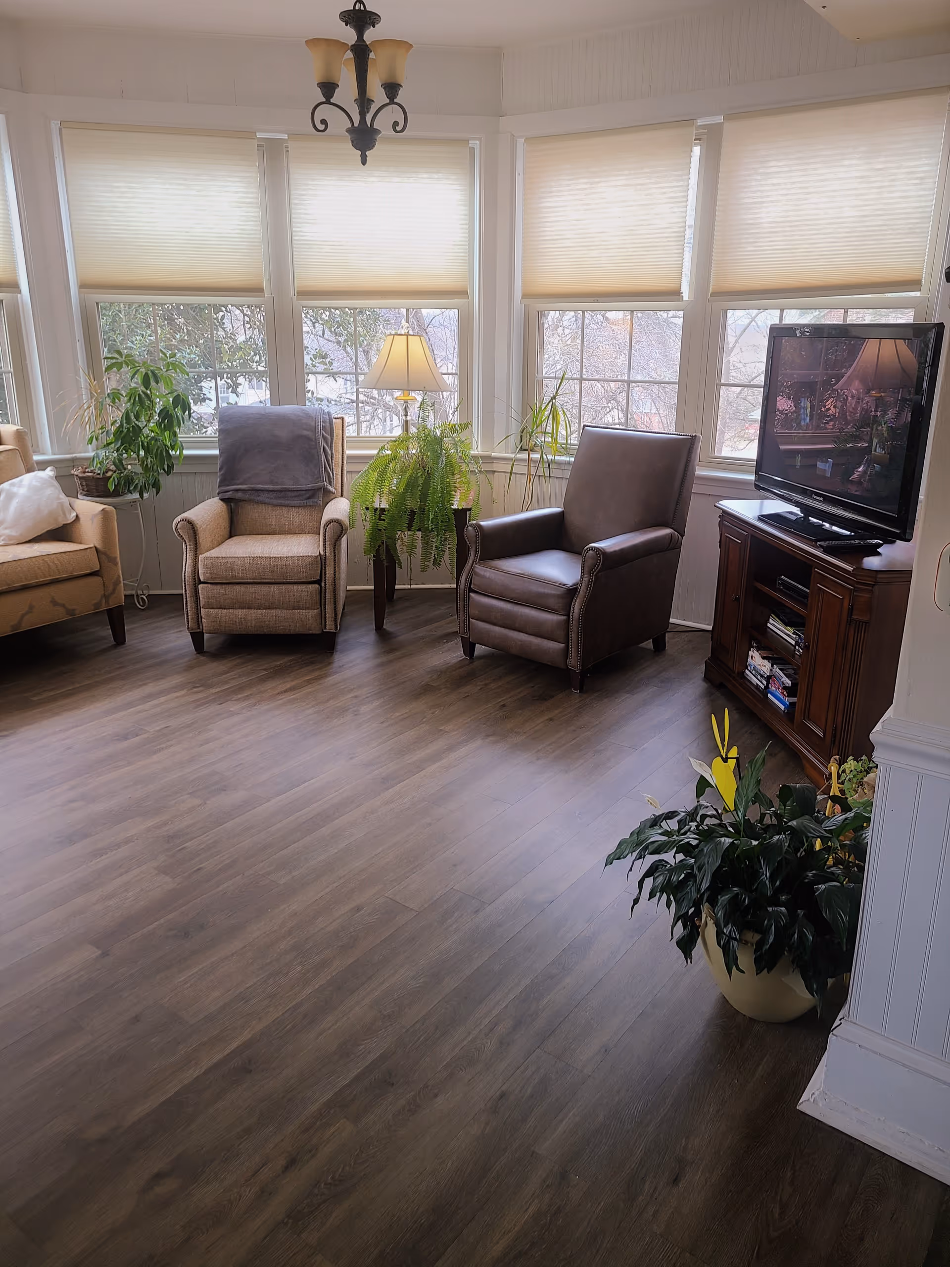 A cozy living room area with three armchairs arranged near large windows with beige blinds. There is a wooden TV stand with a flat-screen TV on the right side, a table lamp, and several green potted plants placed around the room. The floor is a dark wood laminate, and a decorative ceiling light fixture hangs above.