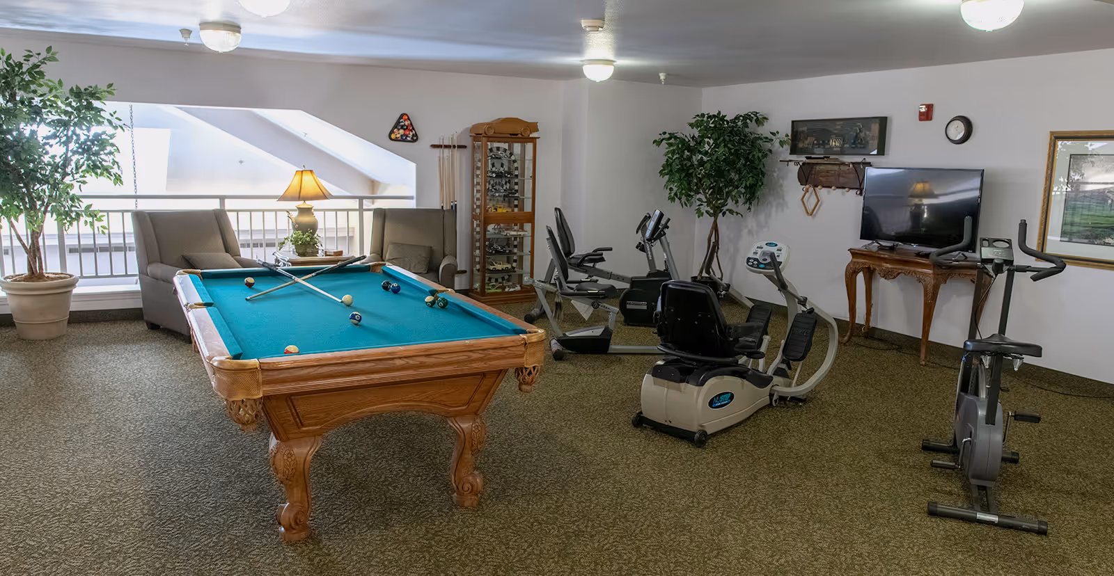 A recreational room featuring a pool table with cues and balls, two armchairs with a lamp and small table between them, exercise equipment including stationary bikes and a recumbent bike, a TV on a wooden table, and decorative plants. The room has carpeted flooring and white walls with framed artwork and a clock.