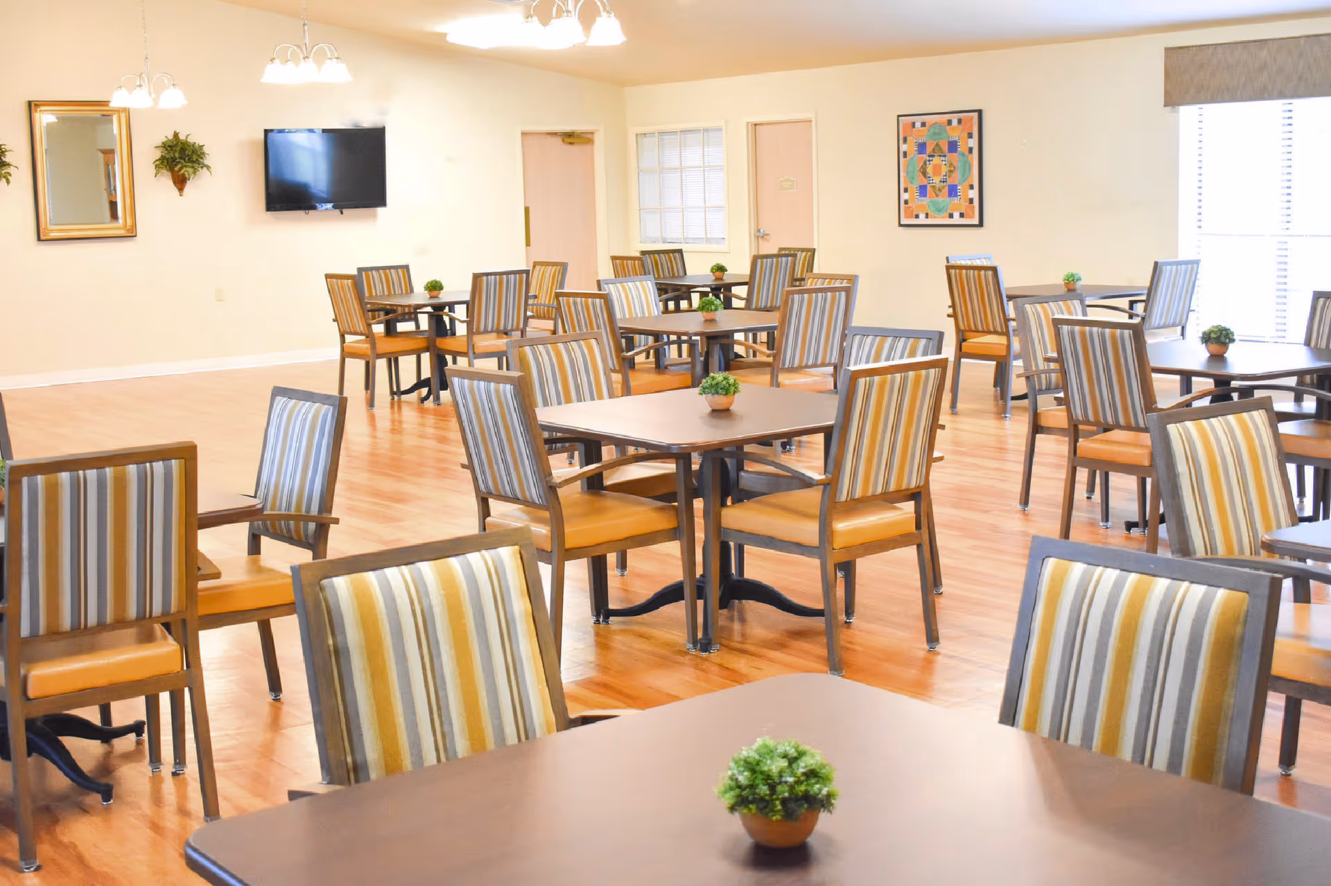 Bright communal dining room with multiple tables and striped upholstered chairs, small potted plants on each table, a wall-mounted TV and overhead light fixtures.