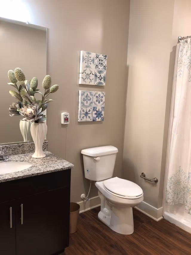 A clean bathroom with a white toilet, a dark wood vanity with a granite countertop and a sink, a vase with decorative flowers on the countertop, two blue and white patterned wall art pieces above the toilet, a shower curtain with a subtle pattern, and wood-look flooring.