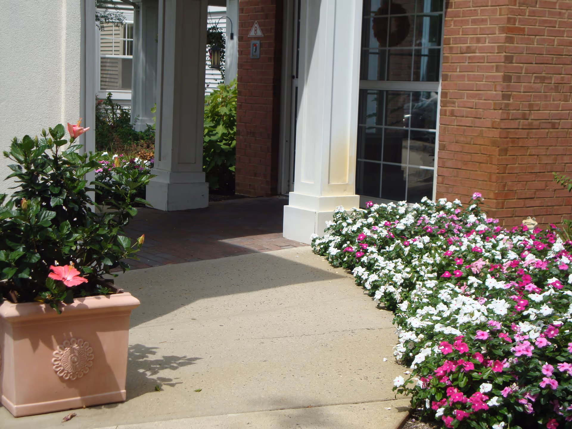 Outdoor walkway at a senior living facility with a large planter containing pink hibiscus flowers on the left and a flower bed with white and pink flowers on the right. The walkway leads to a covered entrance supported by white columns, with a brick wall and windows in the background.
