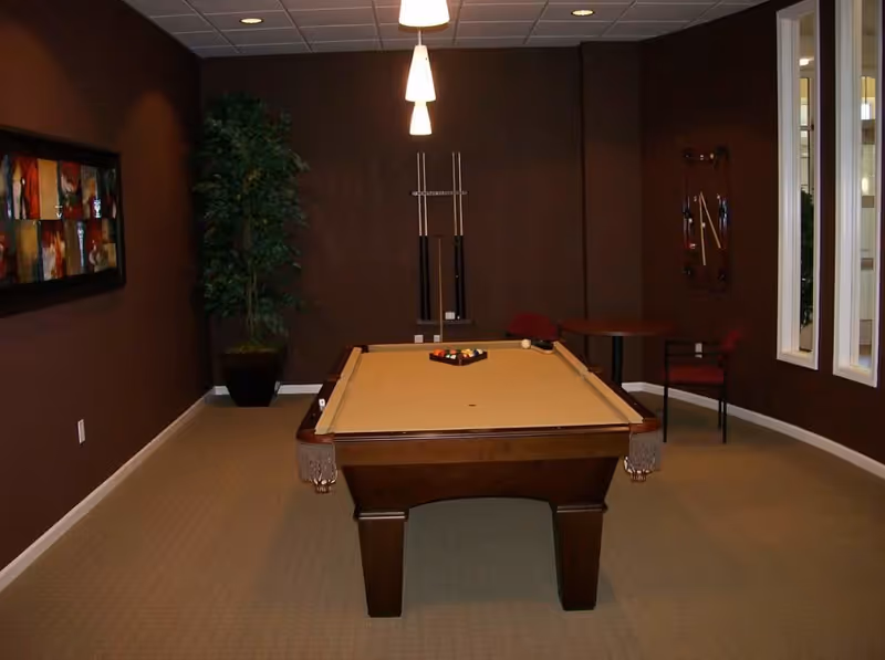 A room with a pool table in the center, beige felt surface, pool cues mounted on the wall behind it, a small round table with two chairs to the right, a large potted plant in the corner, and abstract artwork on the left wall. The walls are dark brown and the floor is carpeted.