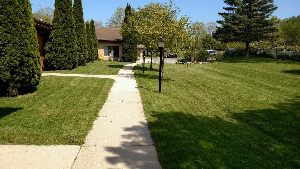 A paved walkway leading through a well-maintained grassy area with tall evergreen trees on the left and deciduous trees on the right. A brown building is visible in the background with a few parked cars further behind. The sky is clear and blue.