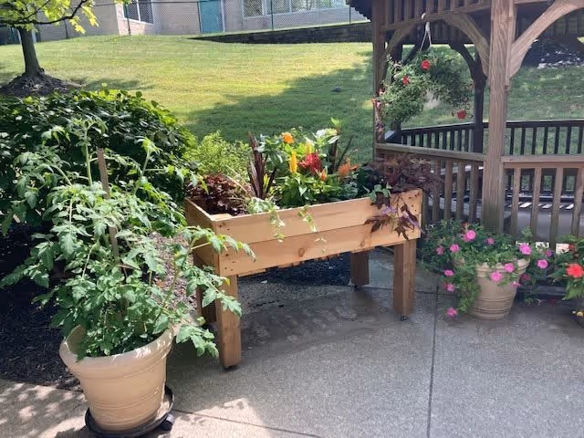 Outdoor garden area with a wooden raised planter box filled with various colorful flowers and plants. To the left, there is a large potted plant with green foliage. On the right side, there is a wooden gazebo with hanging flower pots and additional potted flowers on the ground. The background shows a grassy lawn and part of a building.