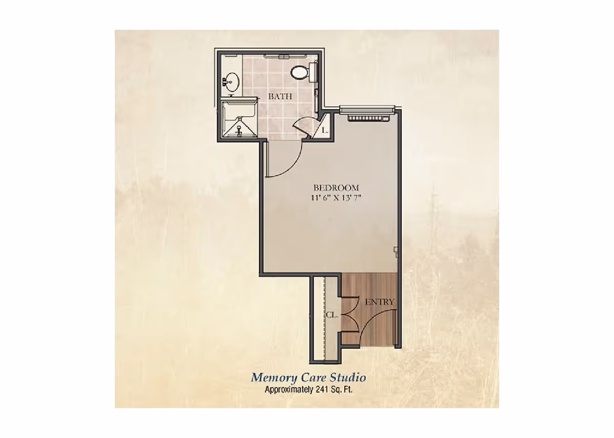 Floor plan of a Memory Care Studio apartment with an approximate area of 241 square feet, showing a bedroom measuring 11 feet 6 inches by 13 feet 7 inches, a bathroom with a sink, toilet, and shower, an entry area, and a closet.