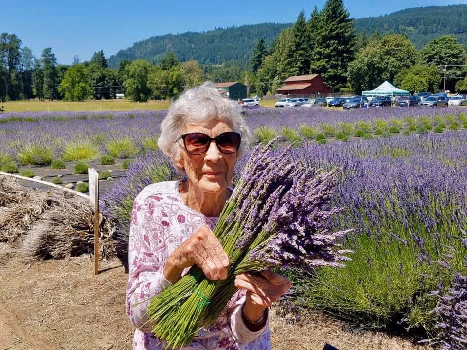 An elderly woman wearing sunglasses and a floral patterned shirt is holding a large bundle of freshly picked lavender flowers. She is standing outdoors in a lavender field with rows of blooming lavender plants, trees, and hills in the background under a clear blue sky.