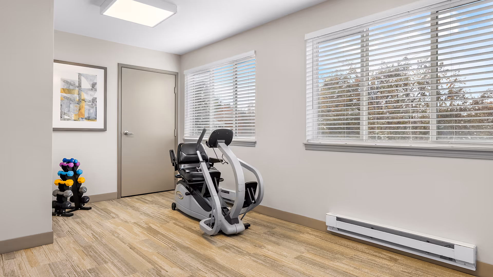 A small exercise room with a recumbent stationary bike positioned near two large windows with white blinds. To the left, there is a rack holding colorful dumbbells and a framed abstract painting on the wall. The room has light-colored walls, a wooden floor, and a closed beige door.