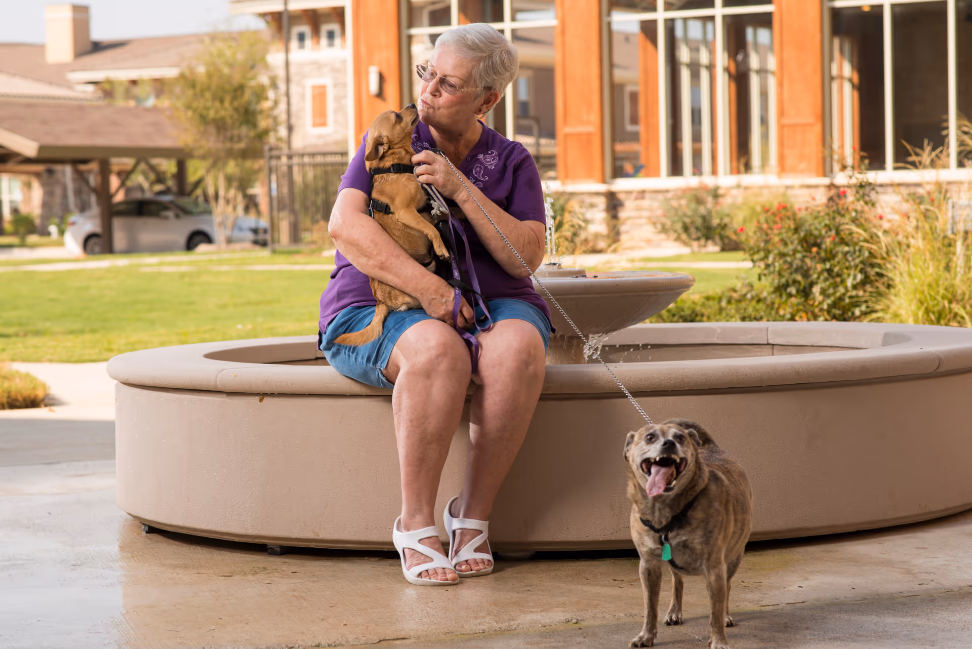 An elderly woman wearing a purple shirt and blue shorts sits on the edge of a circular outdoor fountain, holding a small brown dog in her arms while another dog on a leash stands nearby with its tongue out. The background shows a building with large windows and some greenery.