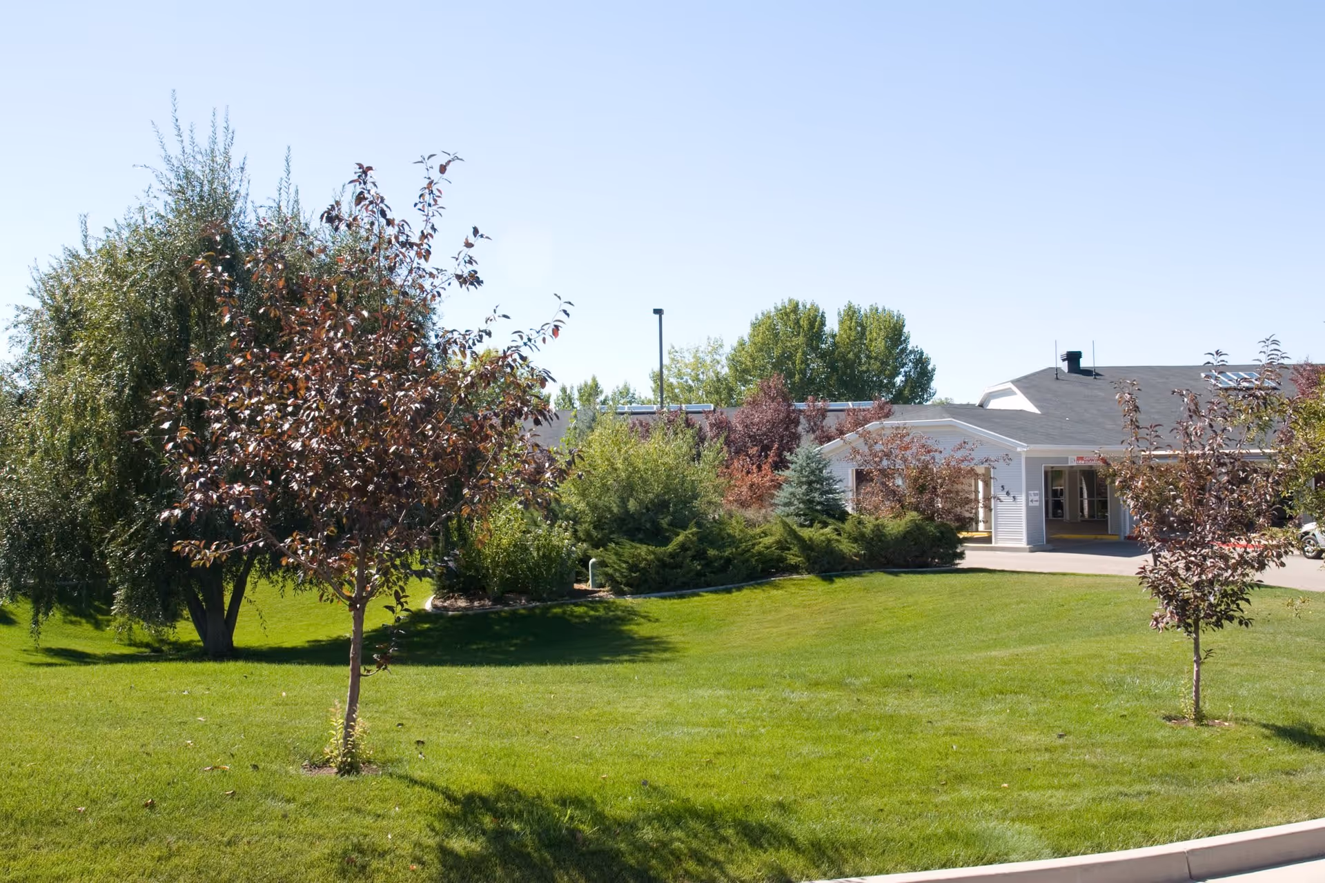 A well-maintained green lawn with small trees and shrubs in front of a single-story building under a clear blue sky.