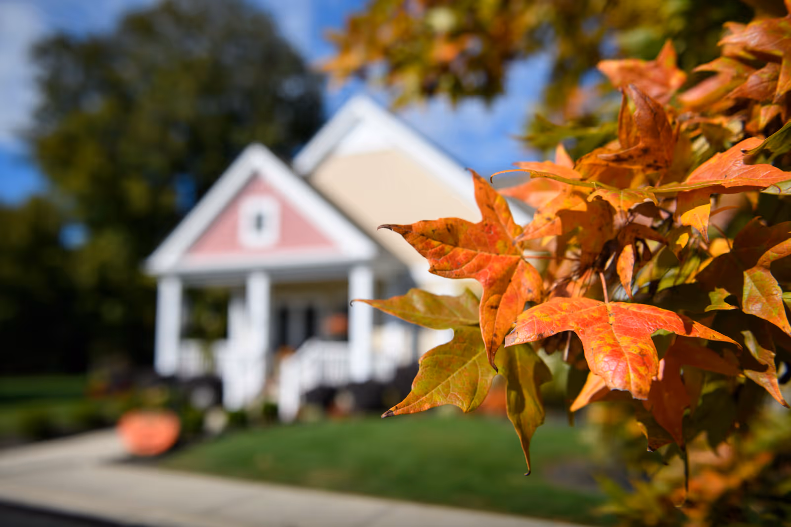 Close-up of autumn-colored leaves with a blurred view of a house with a porch and white columns in the background under a blue sky.