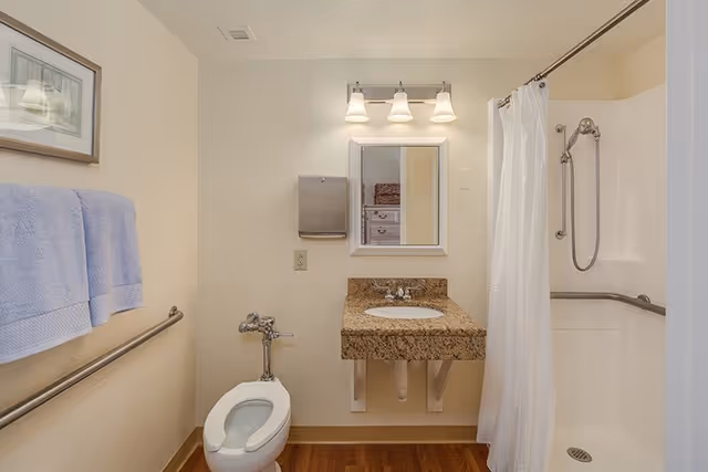 A clean and accessible bathroom featuring a toilet with grab bars, a granite countertop sink with a mirror and three-light fixture above, a shower area with a white curtain and grab bars, and a towel rack with a blue towel. The floor has wood-like flooring and the walls are painted light beige.