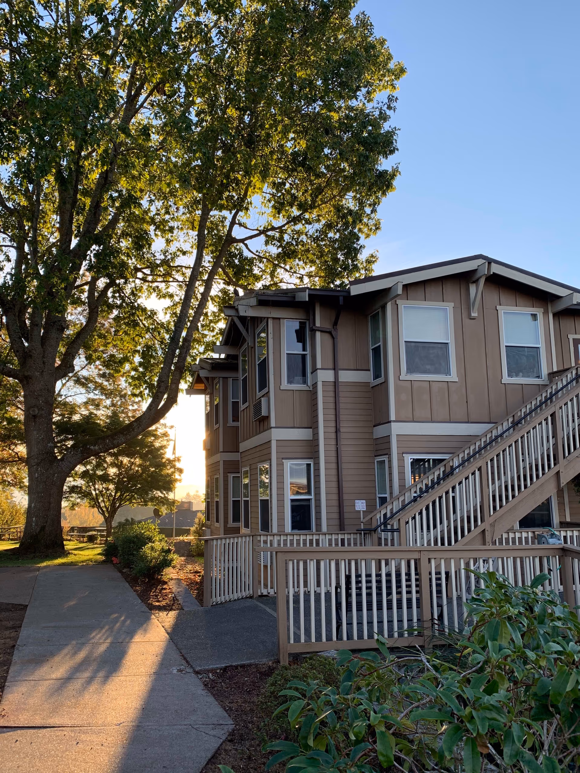 Exterior view of a two-story residential building with beige siding and white trim, featuring multiple windows and an outdoor staircase. A large tree with green leaves is on the left side, casting shadows on the sidewalk and surrounding greenery under a clear blue sky.