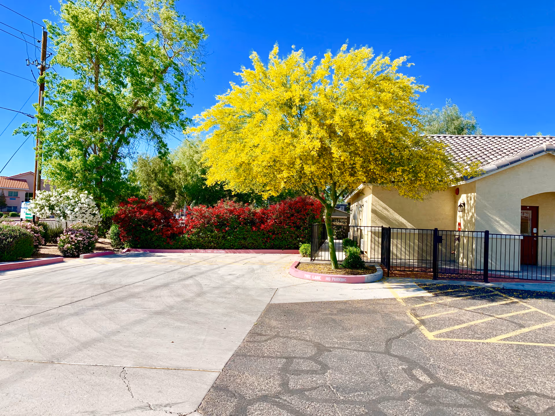 Parking area and landscaped grounds featuring a bright yellow-flowering tree beside a beige single-story building and black fence under a clear blue sky.