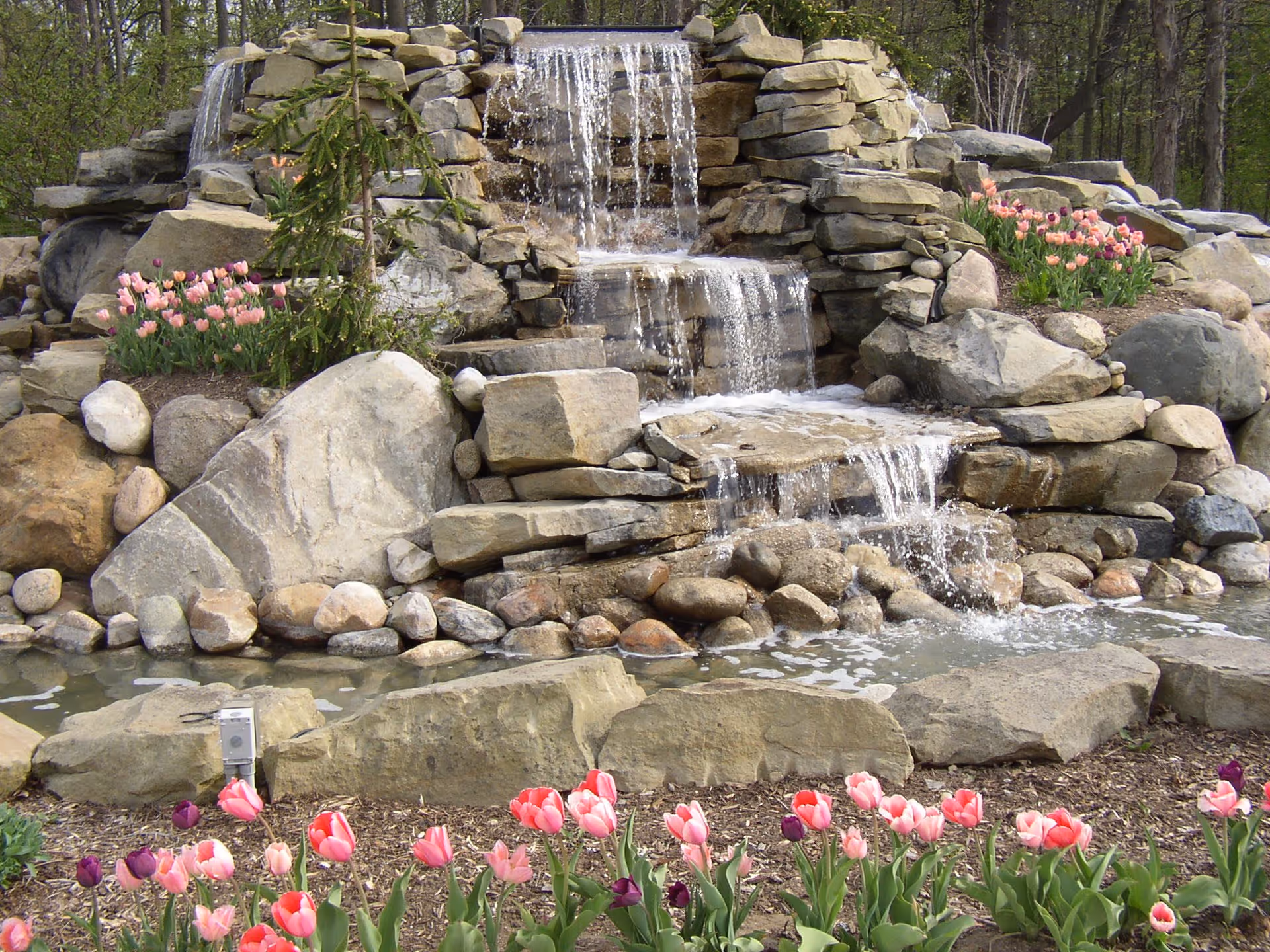 A landscaped outdoor area featuring a multi-tiered stone waterfall surrounded by rocks and blooming pink and purple tulips, with trees in the background.