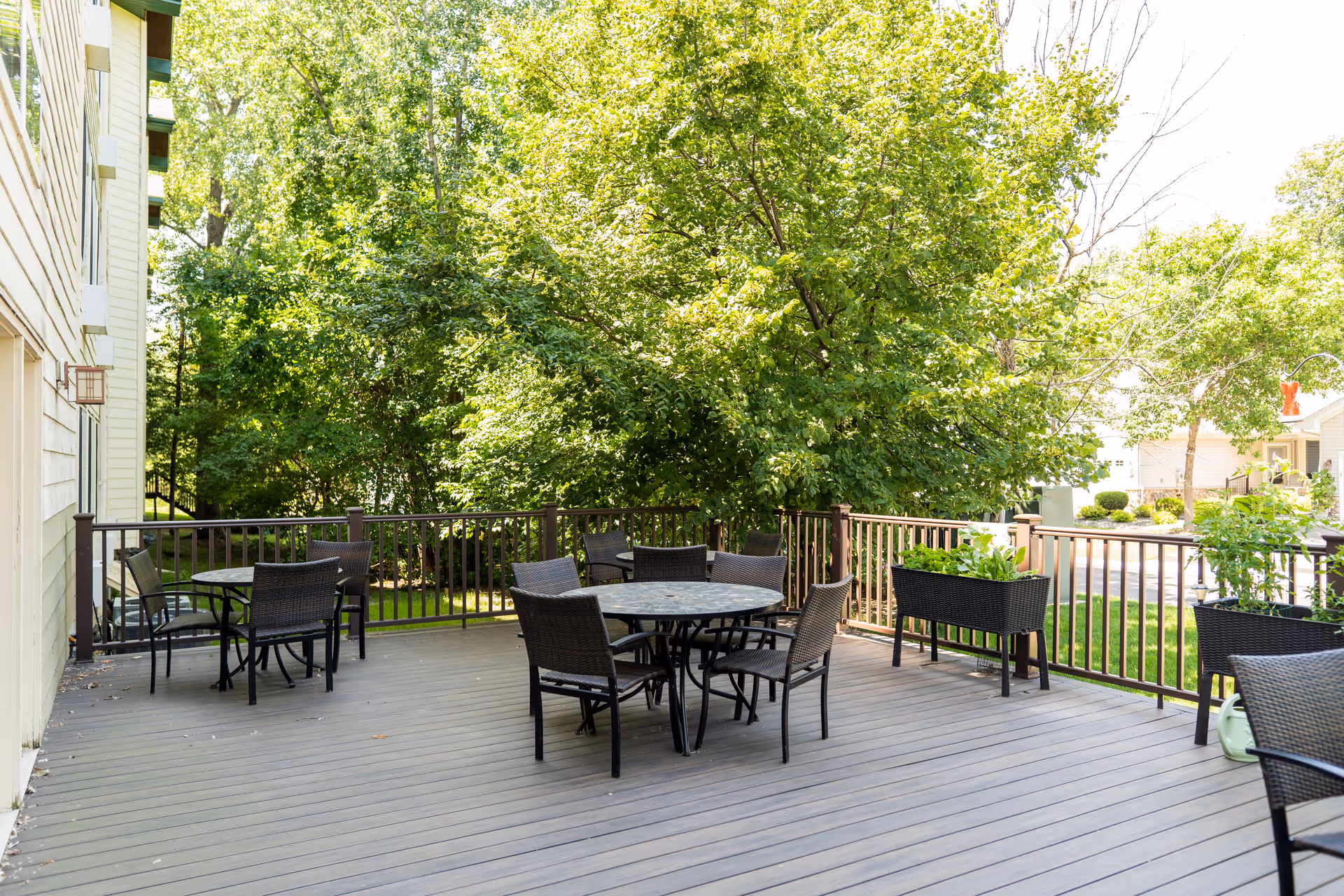 Photo 5 of Rose Arbor