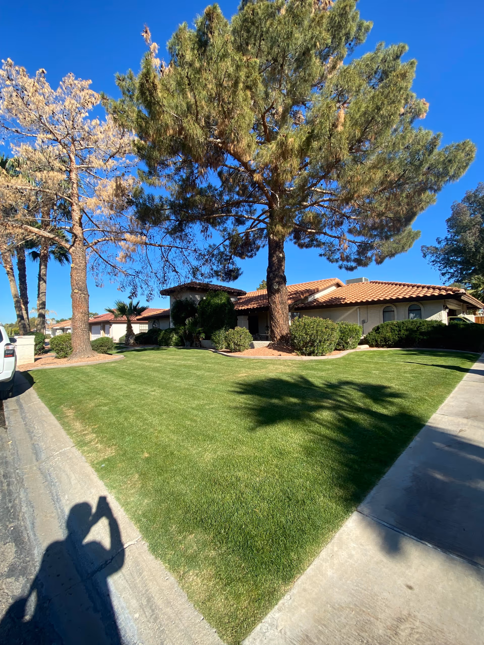 Exterior view of a single-story building with a tiled roof surrounded by green grass, bushes, and tall trees under a clear blue sky. A sidewalk and part of a street are visible in the foreground.