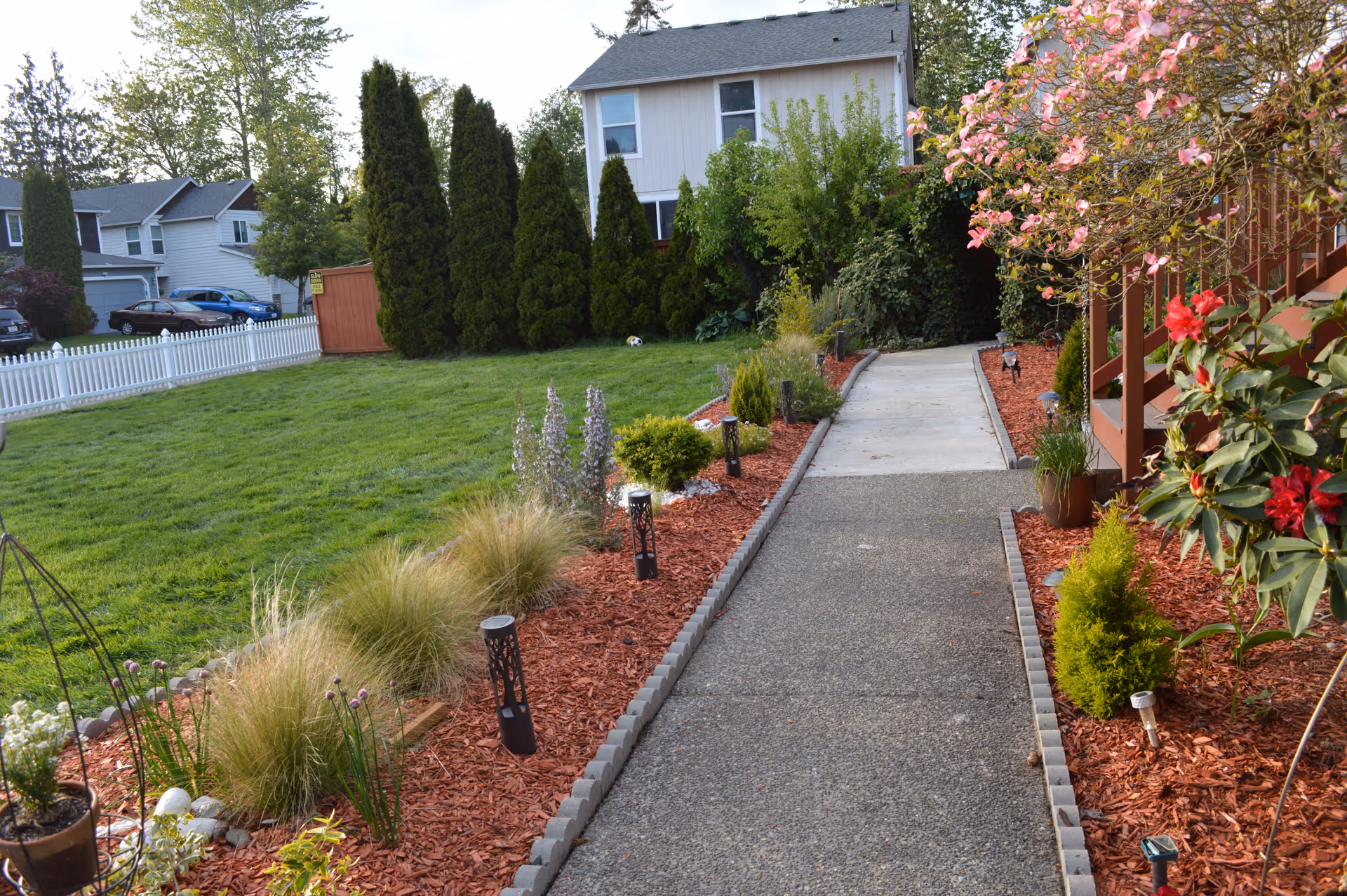 A paved walkway bordered by landscaped garden beds with various shrubs, flowers, and small trees. The garden beds are covered with red mulch and have small solar lights. In the background, there is a white two-story house partially obscured by tall evergreen trees, with a green lawn and a white picket fence on the left side.
