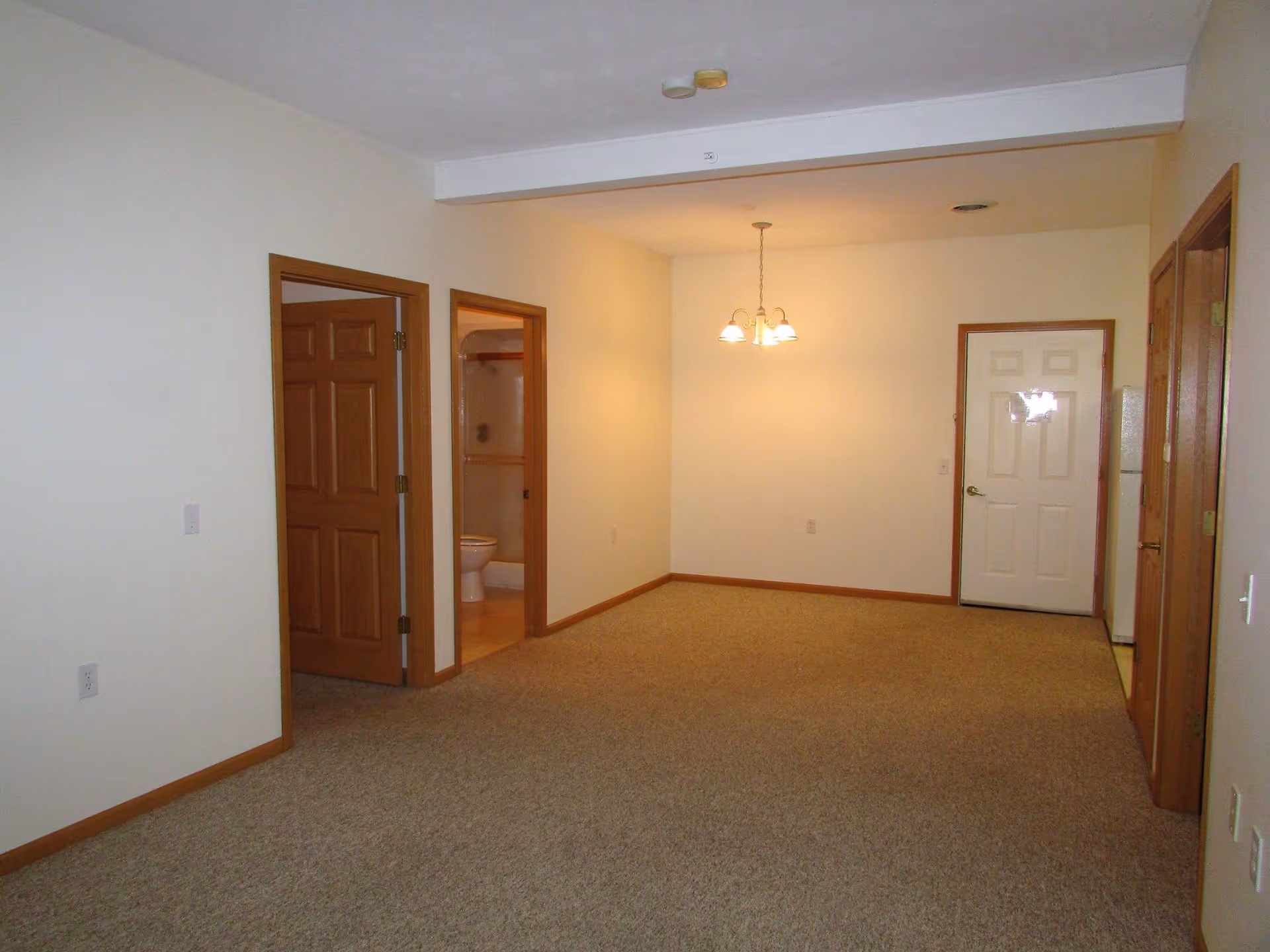 Empty room with beige carpet and white walls, featuring wooden door frames and doors. A small bathroom with a toilet and shower is visible through an open door. A hanging light fixture is centered on the ceiling near a white door, and a kitchen area is partially visible on the right side.