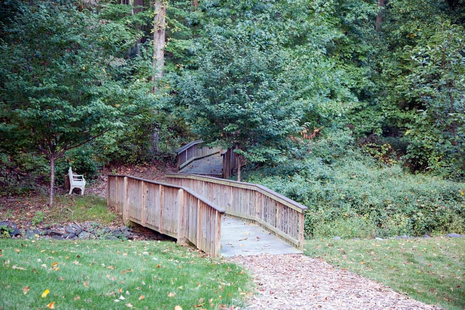 A wooden footbridge and path leading through a leafy wooded area with a bench nearby.