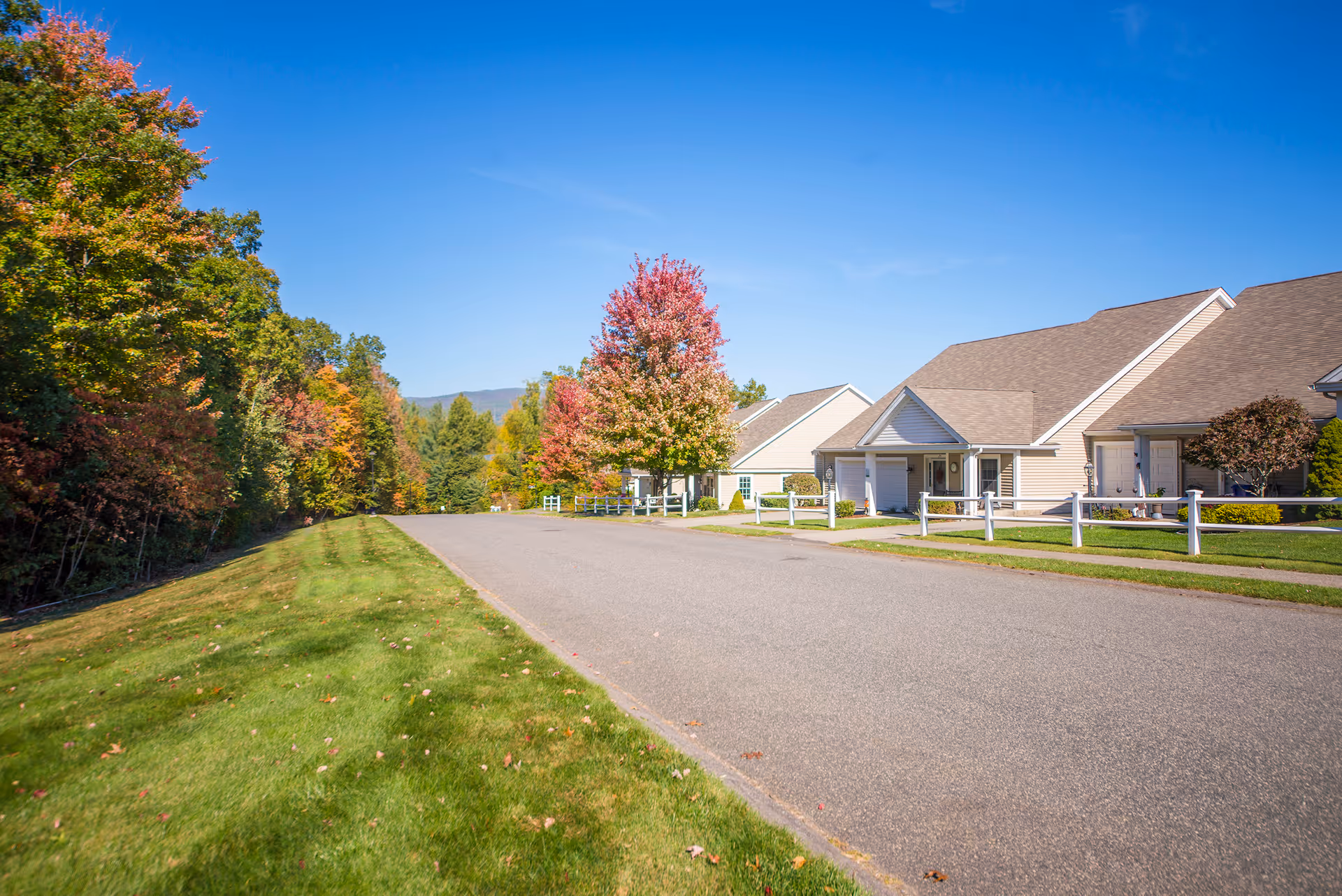 A quiet residential street in a senior living community with single-story beige houses on the right, white fences, and a well-maintained grassy area on the left. Trees with autumn foliage line the street under a clear blue sky.