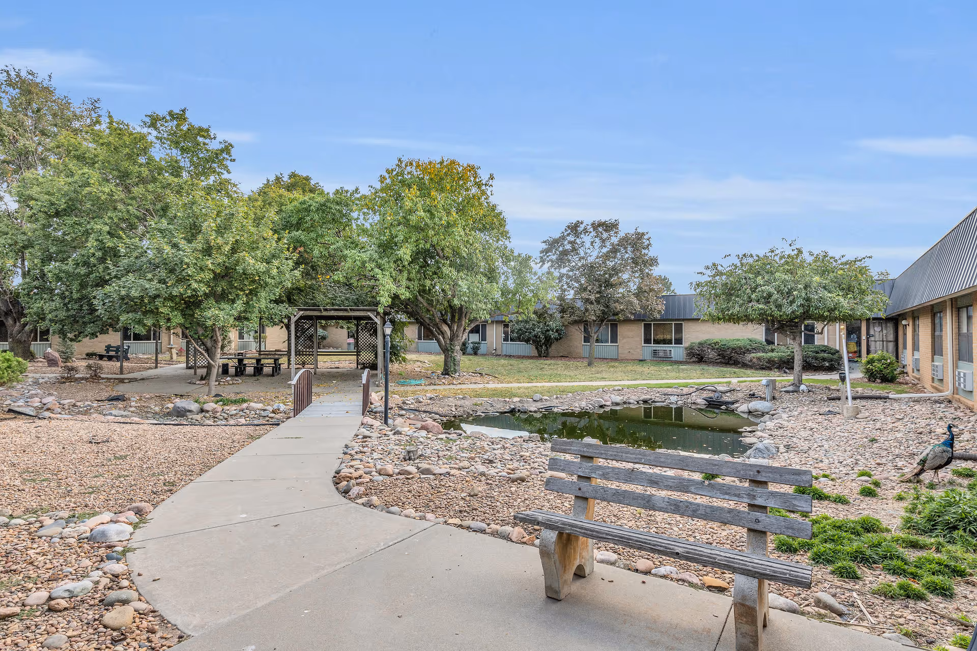 Outdoor courtyard area of a senior living facility with a concrete pathway leading to a small wooden bridge over a pond. There are trees, a wooden bench, a gazebo with picnic tables, and a peacock near the pond. The building surrounds the courtyard with windows visible.